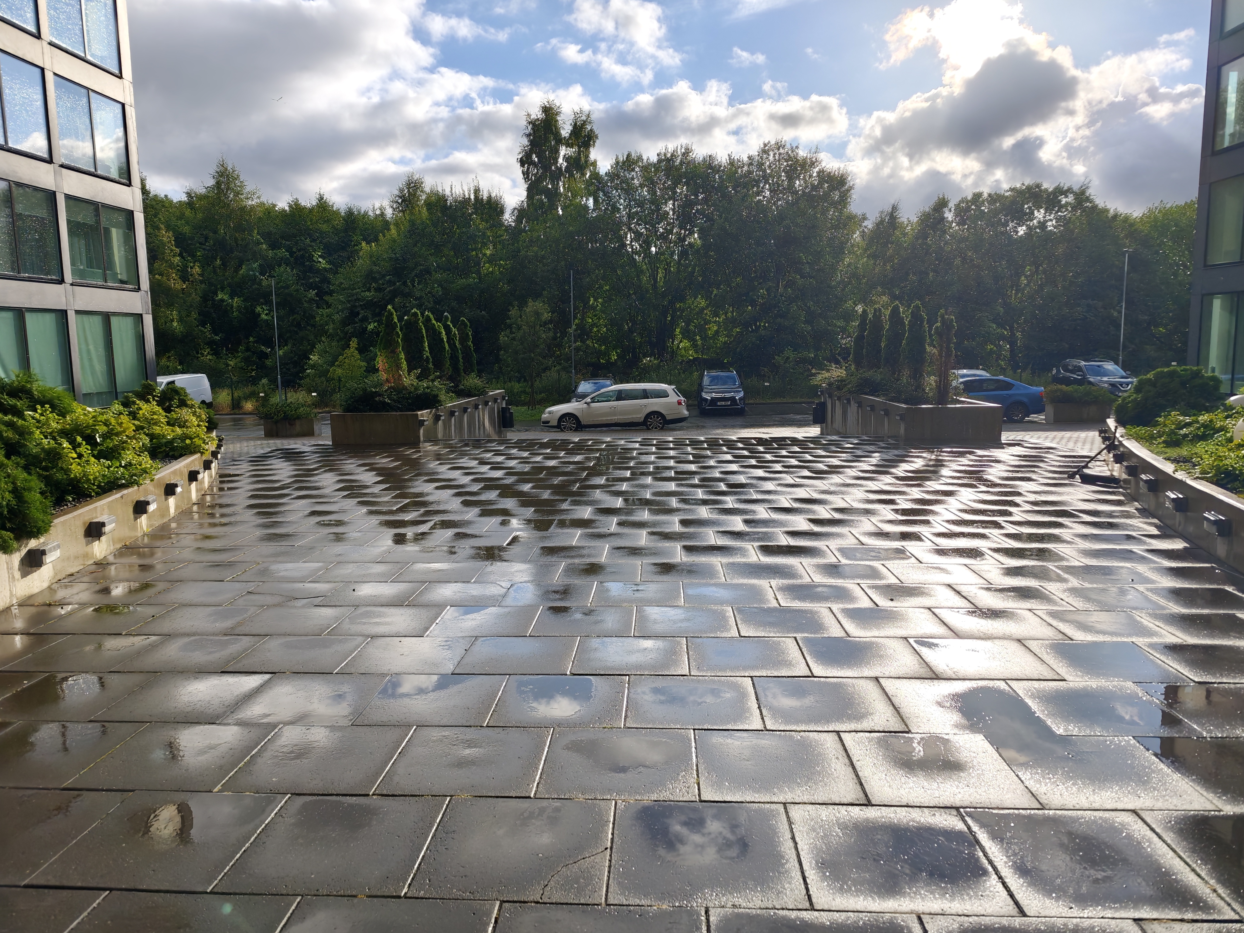 Фотография, снятая на Xiaomi 17 и сохранённая как HDR JPEG с gain map
