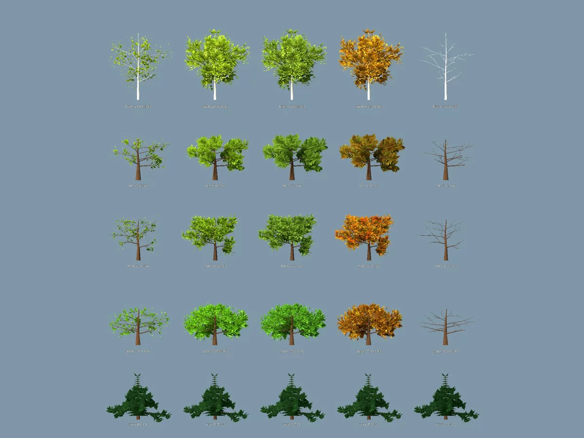 Trees by season: bud-burst, summer crown, autumn gold, bare winter branches